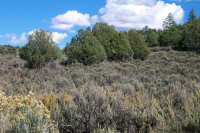 Representative photo of Pinon Hills Ranch